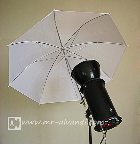 Studio and umbrella flash