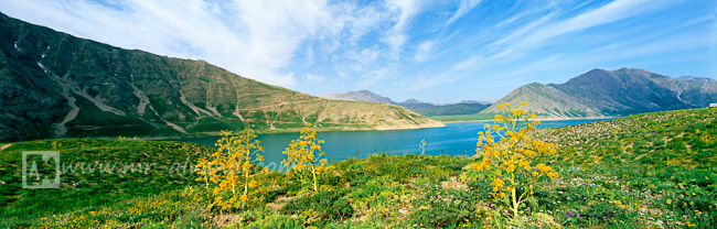 Lar Lake in beautiful spring, دریاچه لار در بهار زیبا 