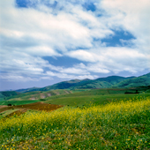 Azerbaijan plains covered with flowers