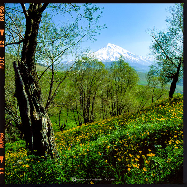 Damavand Peak from the Polour