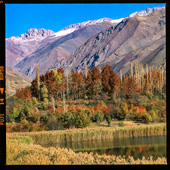 Colorful autumn at Evan Lake