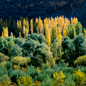 The beautiful autumn of Firuzkuh