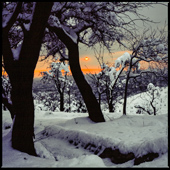 Lavizan Park in snowy sunset