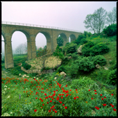 Shurab village railway bridge